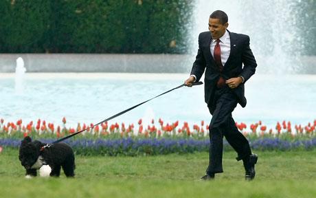 Obama Obama kutyája