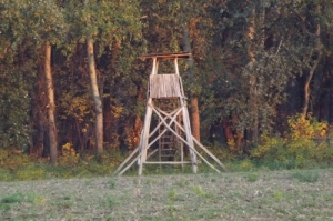 Vadaszati lehetőséget Vadaszati lehetőséget