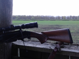 Remington Pump Action 30-06 Remington Pump Action 30-06