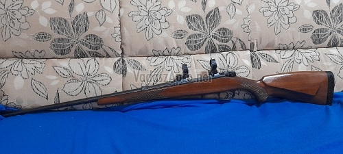 cz5371643219417.jpg