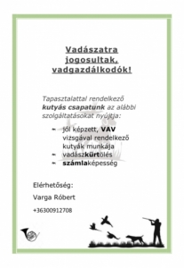 Aprvadas kutysok!