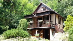 Eladó Óbarok családi ház Bicske mellett nyaraló erdő erdőben
