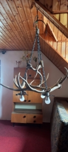 Szarvasagancs csillr