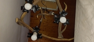 Szarvasagancs csillr