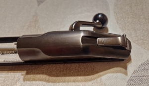 Blaser R8 Ruthenium zr+elst
