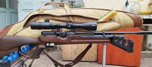 Pcp lgpuska Bsa, Hw100