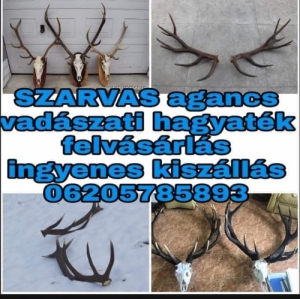 Agancs felvasarlas Kimagasl ron 06205785893 