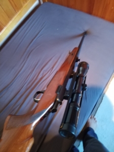 Browning A-Bolt 300. Winchester Magnum