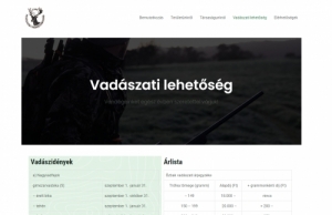 Weboldal ksztse akr ingyen - plyzat