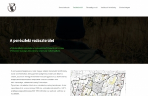Weboldal ksztse akr ingyen - plyzat