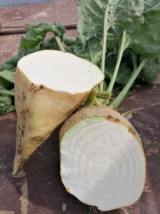 Takarmnyrpa