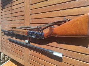 Beretta M 302