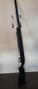 Remington M887