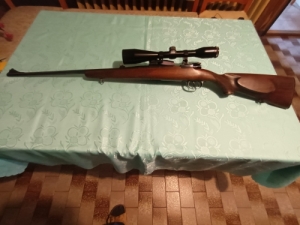 Mauser M98