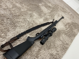Cz557 eclipse