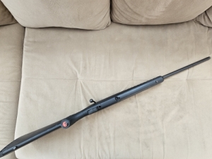 Ruger American 
