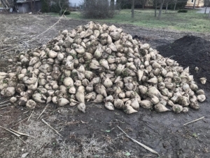 cukorrpa