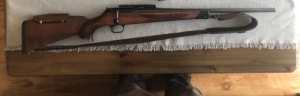 Blaser R93 30-06