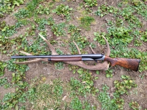 Benelli Rafaello Elegant 12/76