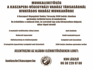 Hivatsos Vadsz