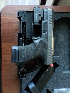  CZ P10S