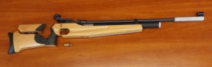 LG300