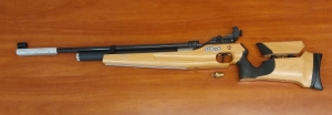 LG300