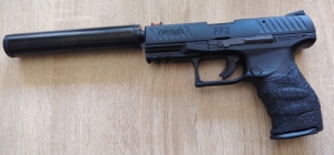 Ppq 22lr