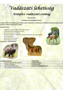 Vad�szati lehet�s�g