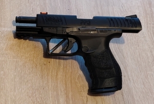 Ppq 22lr