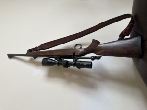 Sauer 101