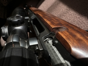 Sauer 101