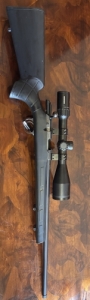 Sauer 101