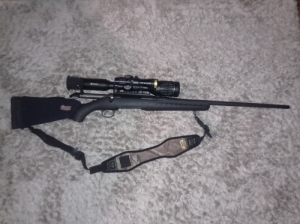 Ruger American
