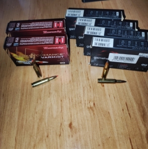 222 remington