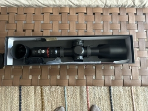Burris Eliminator 6