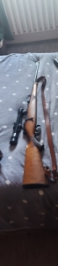 Goly�s puska