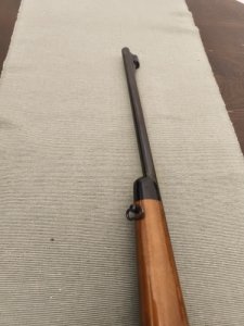 22 wmr Krico