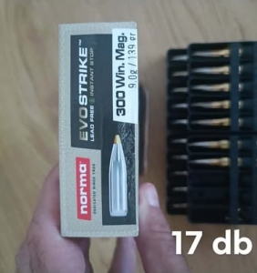 300 WinMag 