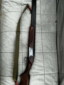 Izs 27 e