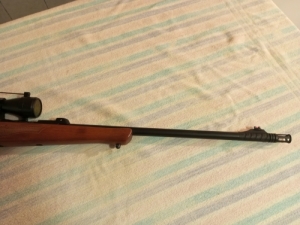 022 kispuska