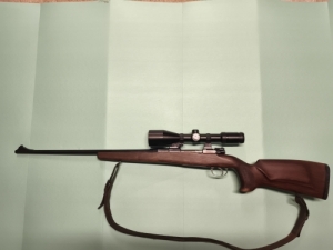 Hauser m98