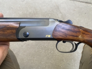 Blaser F16
