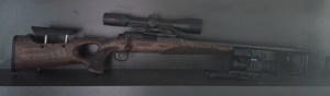 Mauser 25 MAX