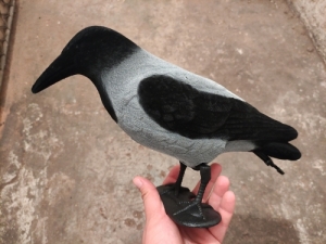 Csalimadarak