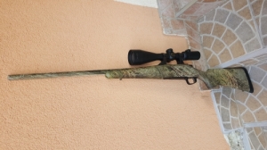 Remington Seven Gamo Predator 243win