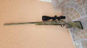 Remington Seven Gamo Predator 243win