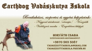 Vércsapa, utánkeresés kiképzés Pest megye Vércsapa, utánkeresés kiképzés Pest megye