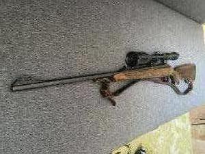 Sauer 101