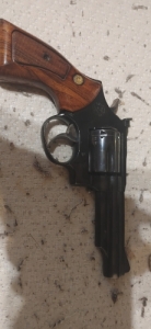 Taurus M96